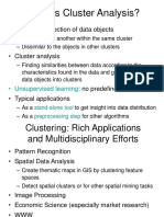 DM Clustering