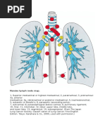 Ganglioni Mediastinali