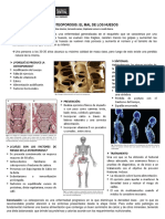 Osteoporosis - Integrador Morfología (Stephanie Lemus)