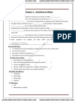 Chapter 1: Nutrition in Plants: Fill in The Blanks