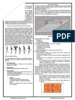 Infografia de Voley