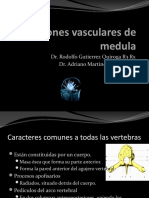 Lesiones Vasculares de Medula-100409164626-Phpapp01