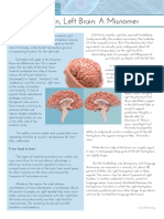 Brain Brief Right Brain-Left Brain Final