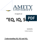 "EQ, IQ, SQ": A Report On