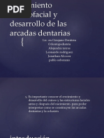 Desarrollo Craneofacial