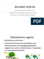 Biossintese e Metabolismo