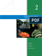 Amazonia C2 PDF