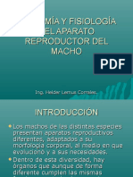 Anatomiayfiosiologiadelaparatoreproductordelmacho 151008171324 Lva1 App6891