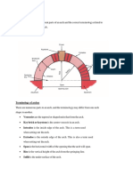 U3 l15 Terminology in Arch and Classification