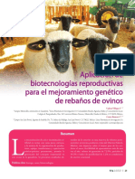 Aplicación de Biotecnologías Reproductivas para El Mejoramiento Genético de Rebaños de Ovinos