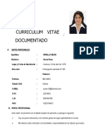 Curriculum Vitae 2019 Inei