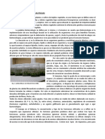 Micropropagación Cactáceas PDF