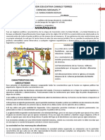 Taller Abasolutismo