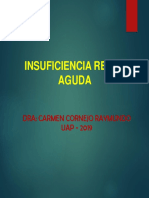 Insuficiencia Renal Aguda: Dra: Carmen Cornejo Raymundo UAP - 2019