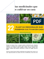 22 Plantas Medicinales Que Podemos Cultivar en Casa