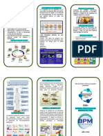 Triptico BPM