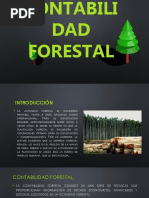 Contabilidad Forestal - Julio 2019