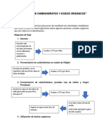 Utilización de Carbohidratos y Ácidos Orgánicos Reporticus