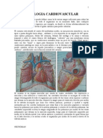 Notas de Cardiología Necroman