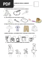 Examen de Ciencia y Ambiente II Semestre