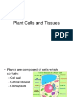 Plant Cells and Tissues