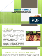 Tecnología Agroindustrial II