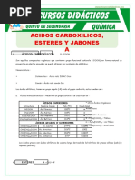 Acidos Carboxilicos y Esteres para Quinto de Secundaria