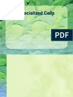 Specialised Cells