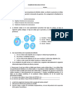 Octavo Examen Mitosis