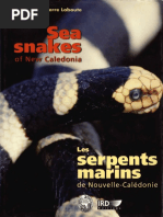 Serpents Marins de Nouvelle-Calédonie