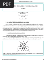 1 Características Da Molécula de Água