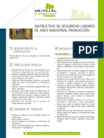 Instructivo de Seguridad Labores de Aseo Industrial Producción