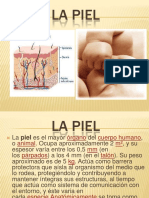 Heridasdiapositiva 131210152020 Phpapp02