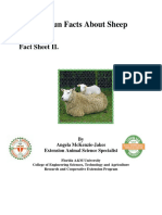 Sheep Facts PDF