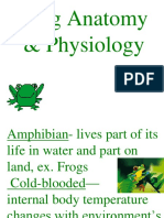 Frog Anatomy Physiology