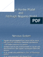 Hodgkin-Huxley Model and Fitzhugh-Nagumo Model