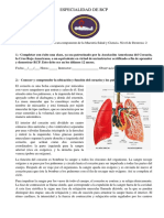 Especialidad de RCP Desarrollada