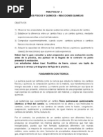 Cambios Fisicos y Quimicos - Reacciones Quimicas 2010 III