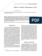 Faba L.: Impact of Food Additives On Mitotic Chromosomes of Vicia