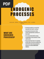 Endogenic Processes