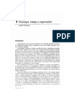 Psicología Del Trabajo y de Las Organizaciones