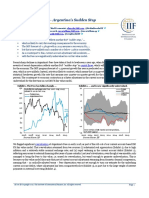 IIF Argentina's Sudden Stop