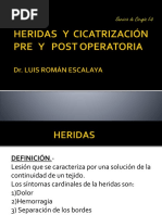 1.heridas y Cicatrizacion Pre y Post Operatoria