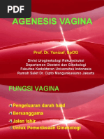 A Genesis Vagina