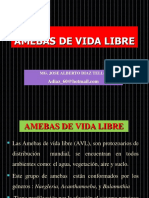 Amebas de Vida Libre - Patologia, Laboratorio Incidencias