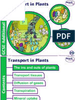 Boardworks Transport in Plants