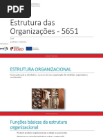 Estrutura Das Organizações - 5651