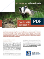 Le Blaireau, Un Animal "Extraordinaire Ne Méritant Pas D'être Malmené"