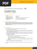 EF - Seguridad y Salud Ocupacional - Minchola Garcia Omar Alex