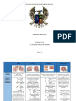 Cuadro Comparativo Enfermedades de Trasmición Sexual